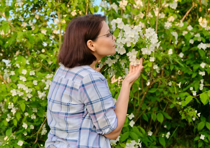 how to grow jasmine