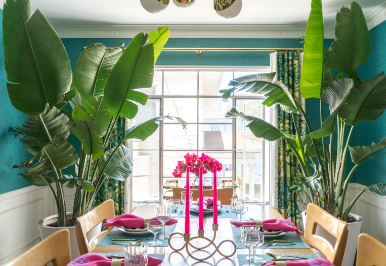 best big plants for home