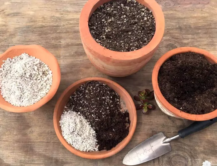 succulent soil mix recipe