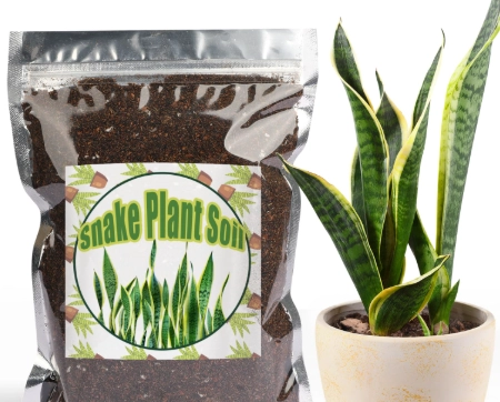 best soil for snake plant