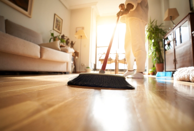 how to clean indoor plant leaves how to clean indoor plant leaves