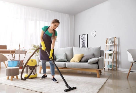 clean indoor plant leaves
