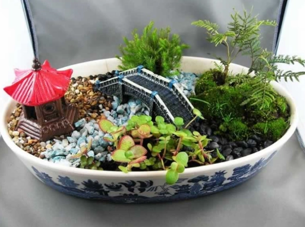 how to make a dish garden how to make a dish garden