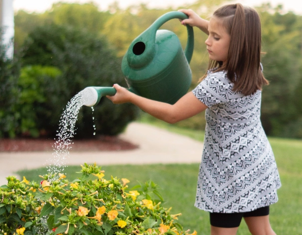 plant watering guide plant watering guide