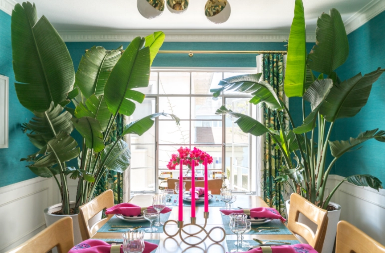 best large indoor plants best large indoor plants