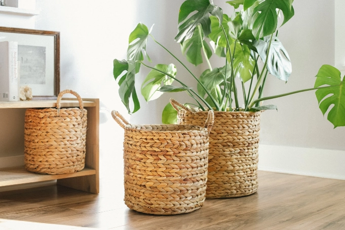 basket for a plant basket for a plant