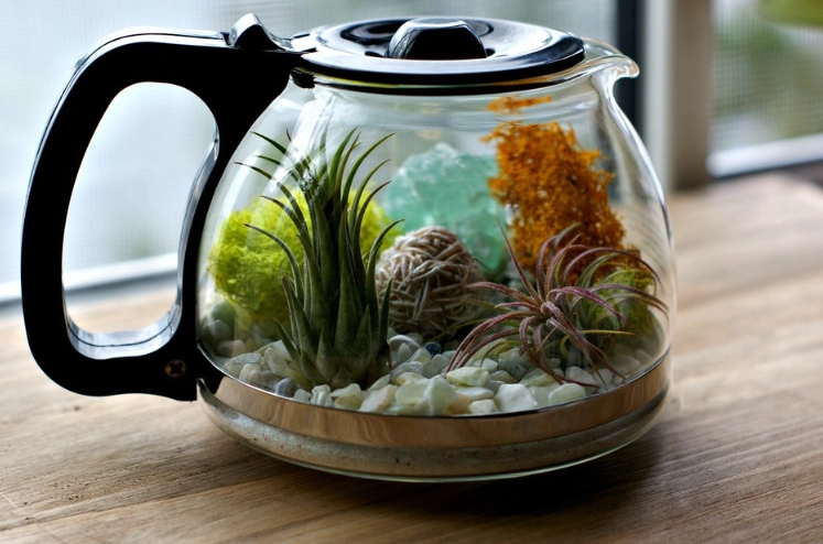 terrarium design terrarium design