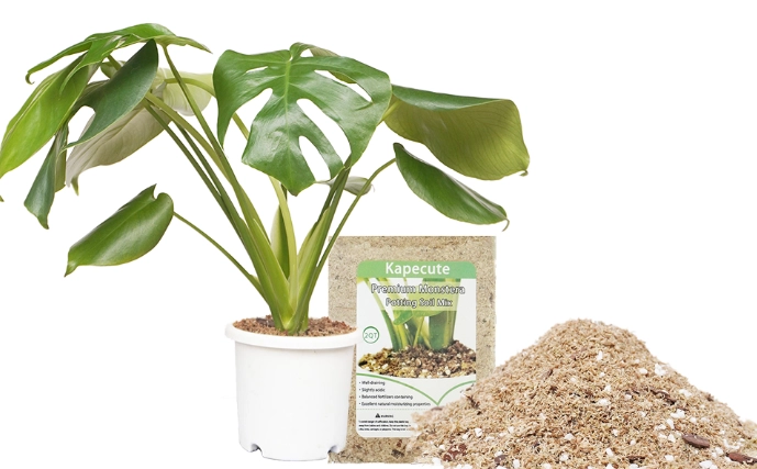 best soil for monstera