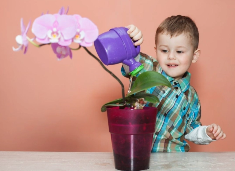 how often do you water orchid