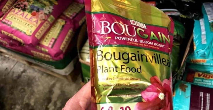 bougainvillea fertilizer