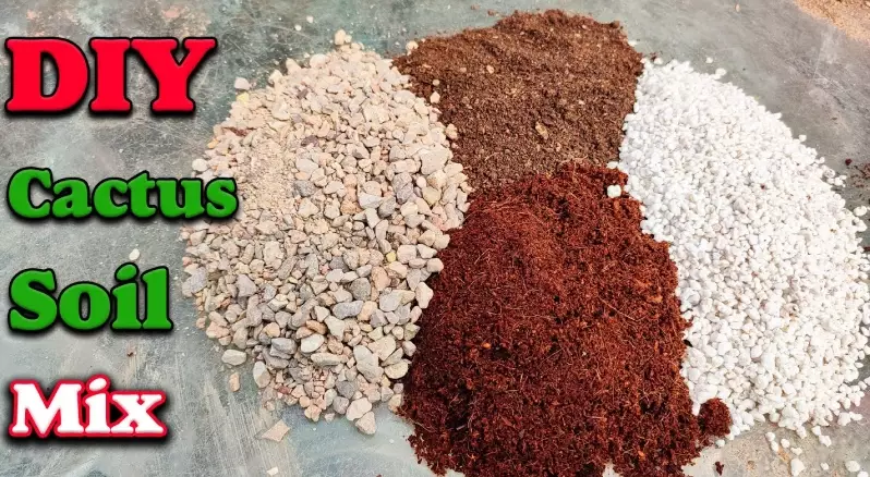 how to make succulent soil