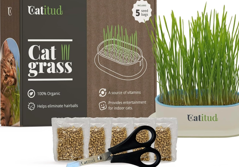 cat grass benefits