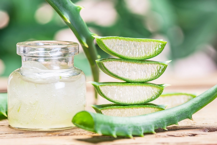 aloe vera benefits