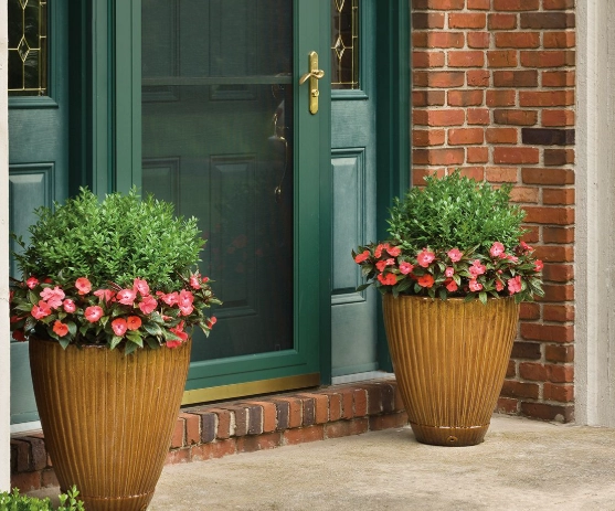 porch container gardening