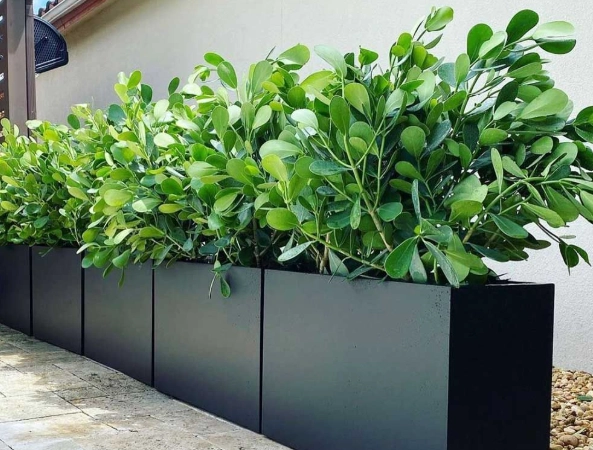 front porch flower pots