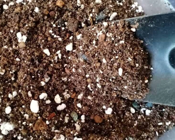 indoor plant soil mix indoor plant soil mix