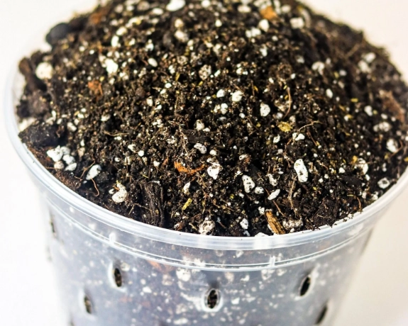 how to make potting mix drain better how to make potting mix drain better