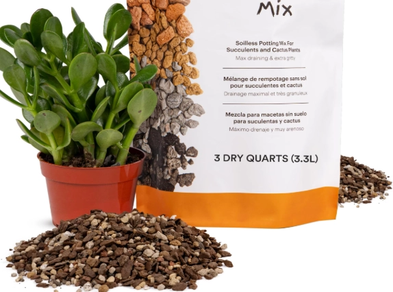 well draining potting mix for indoor plants well draining potting mix for indoor plants