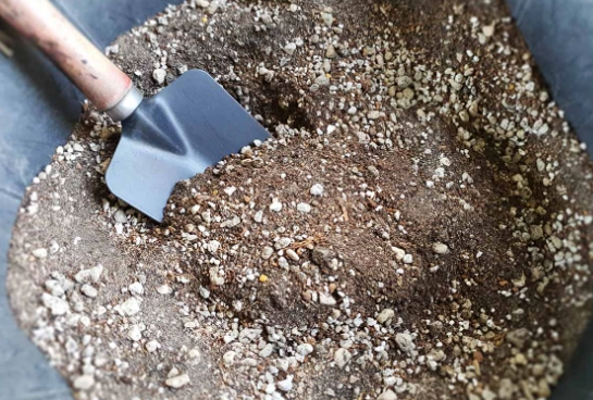 cactus potting soil cactus potting soil