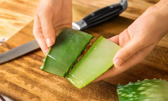 harvest aloe vera gel