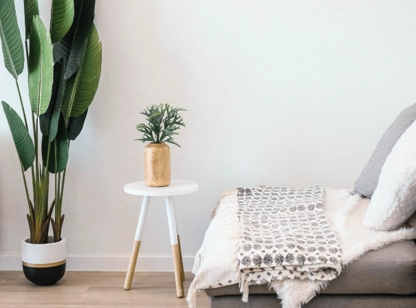 best floor plants for home