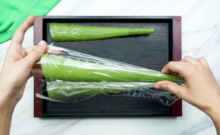 preserve aloe vera leaves