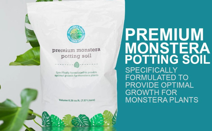 best soil for monstera best soil for monstera