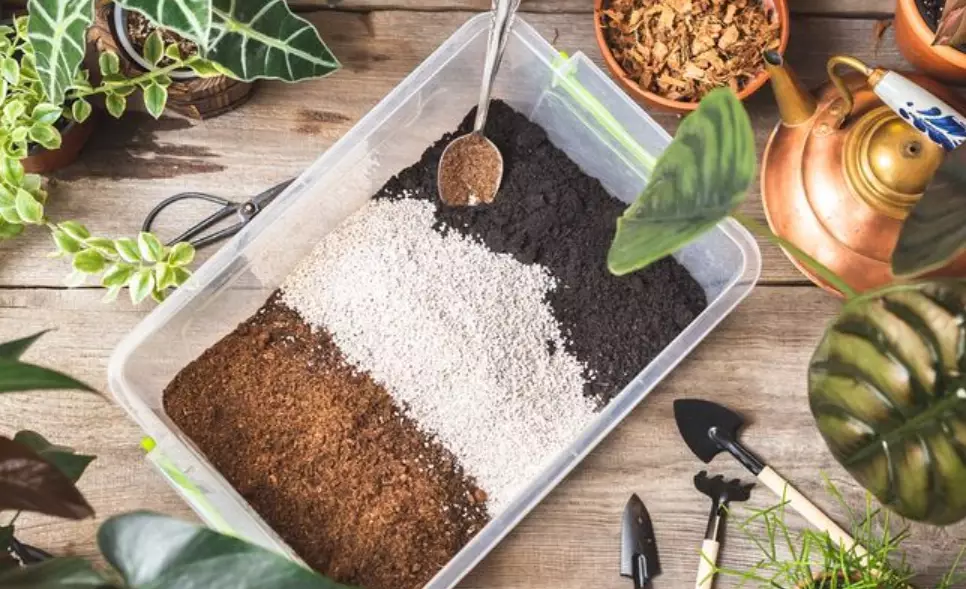 how to make potting soil for indoor plants