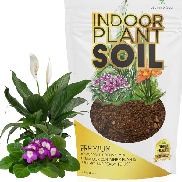 best soil for indoor plants