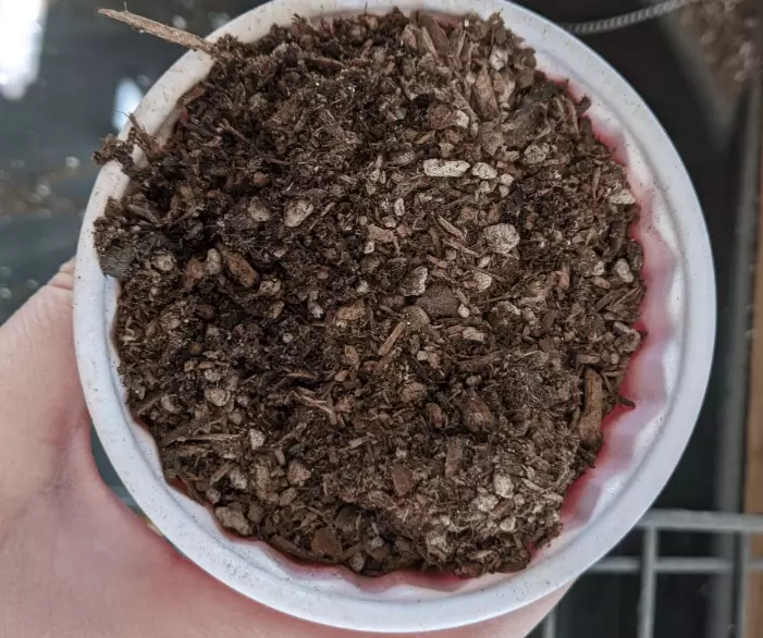 how to make cactus soil