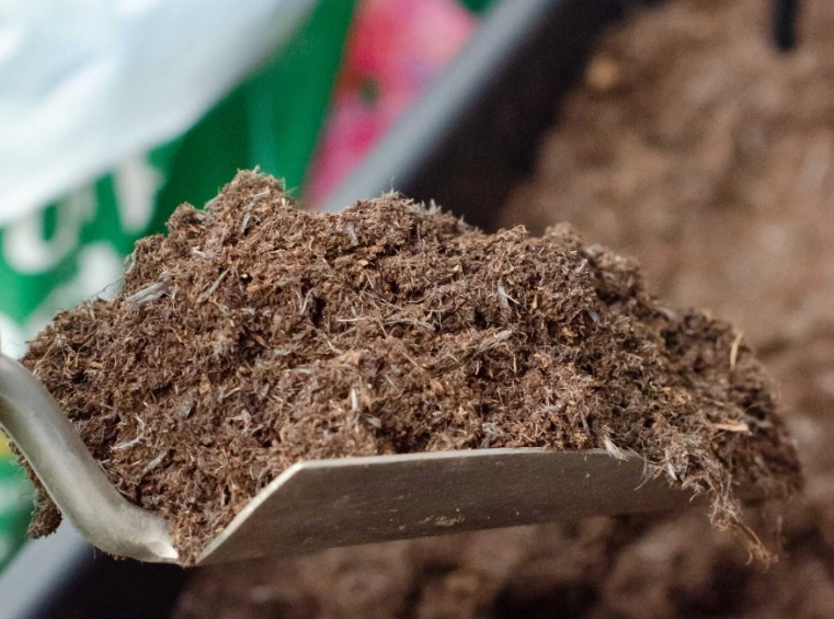 lavender fertilizer